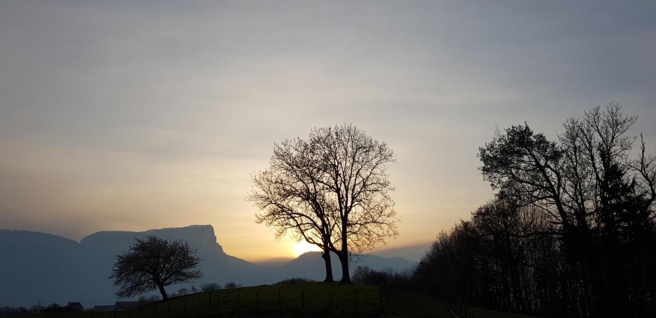 Gite Clair, Spacieux Et Cosy Avec Vue Sur Le Massif De La Chartreuse Sainte-Helene-du-Lac المظهر الخارجي الصورة